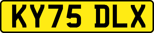 KY75DLX