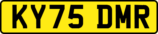 KY75DMR