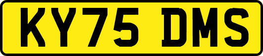 KY75DMS