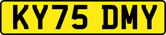 KY75DMY