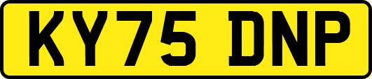 KY75DNP