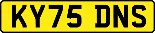 KY75DNS