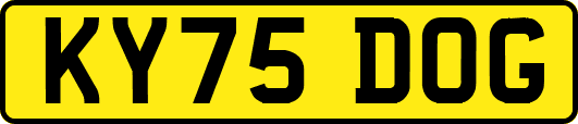 KY75DOG
