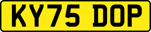 KY75DOP