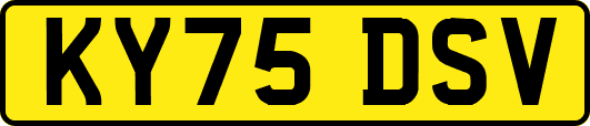 KY75DSV