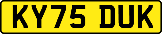 KY75DUK