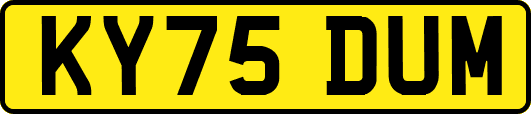 KY75DUM