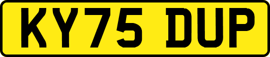 KY75DUP