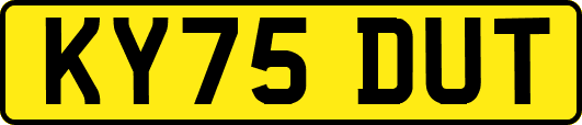 KY75DUT