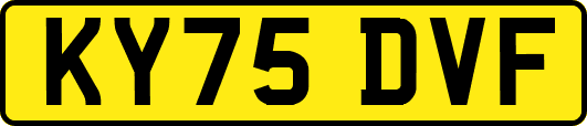 KY75DVF