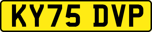KY75DVP