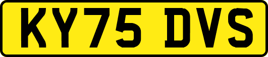 KY75DVS