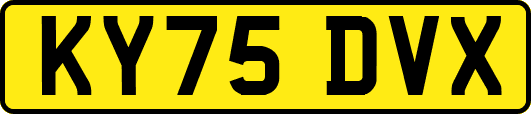 KY75DVX