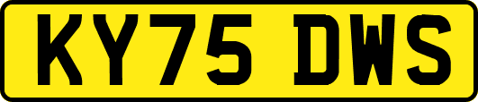 KY75DWS