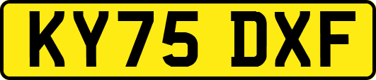 KY75DXF