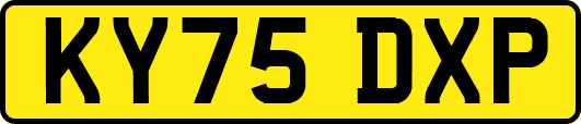 KY75DXP
