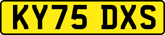 KY75DXS