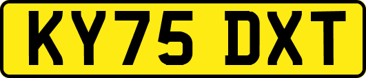 KY75DXT