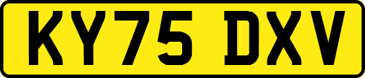 KY75DXV