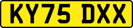 KY75DXX