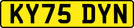 KY75DYN