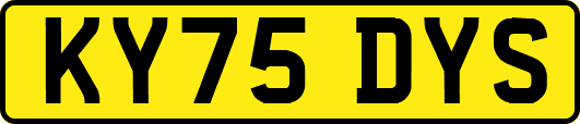 KY75DYS