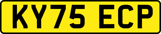 KY75ECP