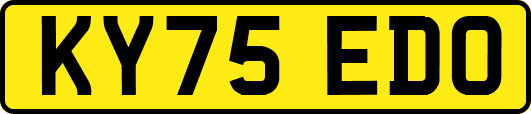 KY75EDO