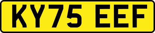 KY75EEF