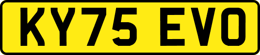 KY75EVO