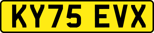 KY75EVX