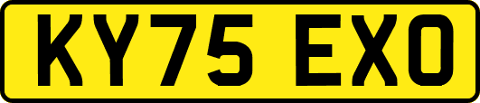 KY75EXO