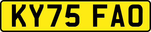 KY75FAO