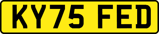 KY75FED