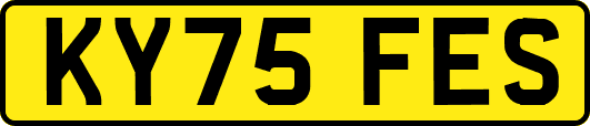 KY75FES