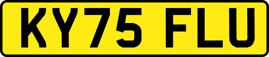 KY75FLU