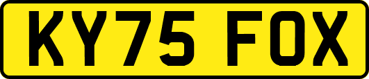 KY75FOX