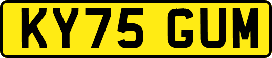 KY75GUM
