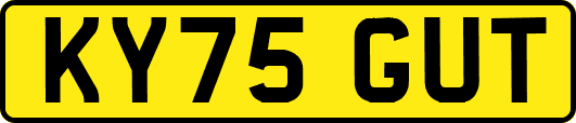 KY75GUT