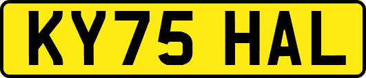 KY75HAL