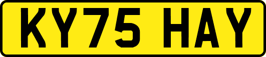 KY75HAY