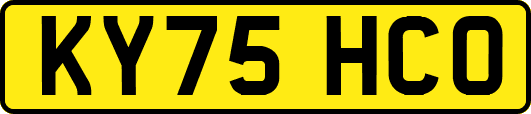 KY75HCO