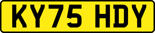 KY75HDY