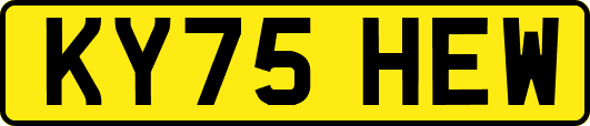 KY75HEW