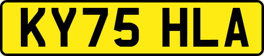 KY75HLA