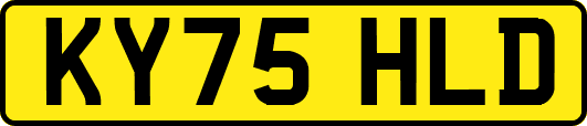 KY75HLD