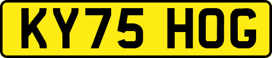 KY75HOG