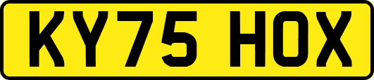 KY75HOX