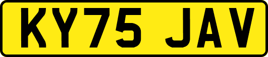KY75JAV