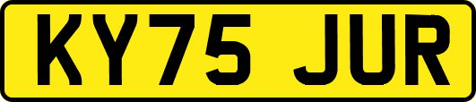 KY75JUR